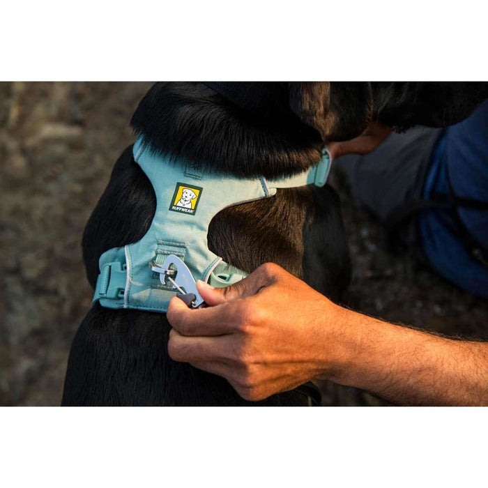 Ruffwear Front Range Dog Harness in River Rock Green (Medium) Ruffwear - UK Camping And Leisure