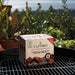 Eazy BBQ Natural Charcoal: On The Go O0174 Quest - UK Camping And Leisure