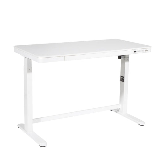 Dellonda Single Motor Ultra-Quiet Electric Desk with Control Panel USB Port Dellonda - UK Camping And Leisure