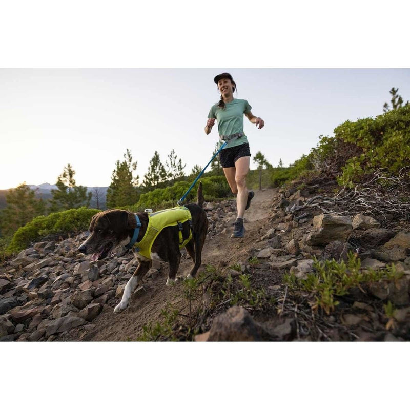 Ruffwear Trail Runner Dog Lead in Blue Pool (1 to 1.8 m) Ruffwear - UK Camping And Leisure