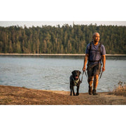 Ruffwear Front Range Dog Harness in River Rock Green (L / XL) Ruffwear - UK Camping And Leisure