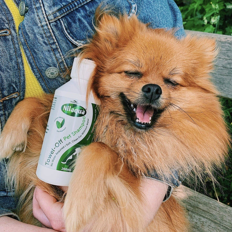 Peppermint & Teatree Pet Shampoo 200Ml TOFS200 Nilaqua - UK Camping And Leisure