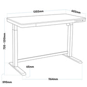Dellonda Single Motor Ultra-Quiet Electric Desk with Control Panel USB Port Dellonda - UK Camping And Leisure