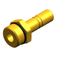 Whale Stem Adapter Male 1/2" BSP 12mm Brass for Motorhomes