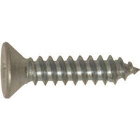 W4 Awning Rail Screws (10) 37663