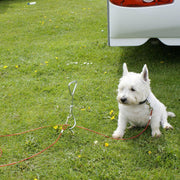 Leisurewize Camping screw in dog ground anchor tether metal corkscrew peg & lead Leisurewize - UK Camping And Leisure