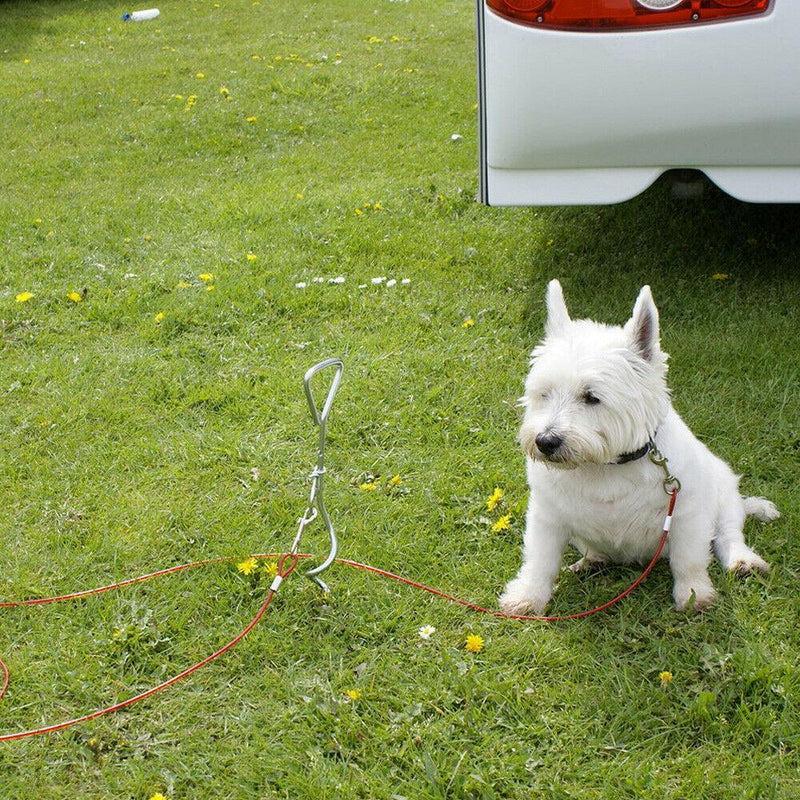 Leisurewize Camping screw in dog ground anchor tether metal corkscrew peg & lead Leisurewize - UK Camping And Leisure